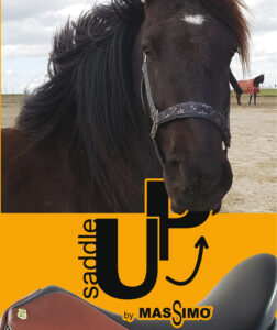 Pony Reitsattel alle Modelle von Massimo Saddle UP erhältlich in Angelas Reitershop